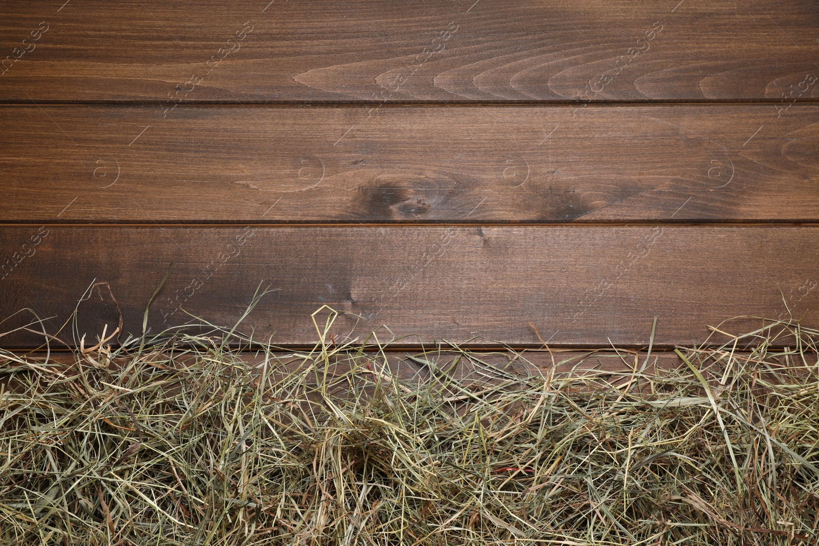 Photo of Dried hay on wooden table, top view. Space for text
