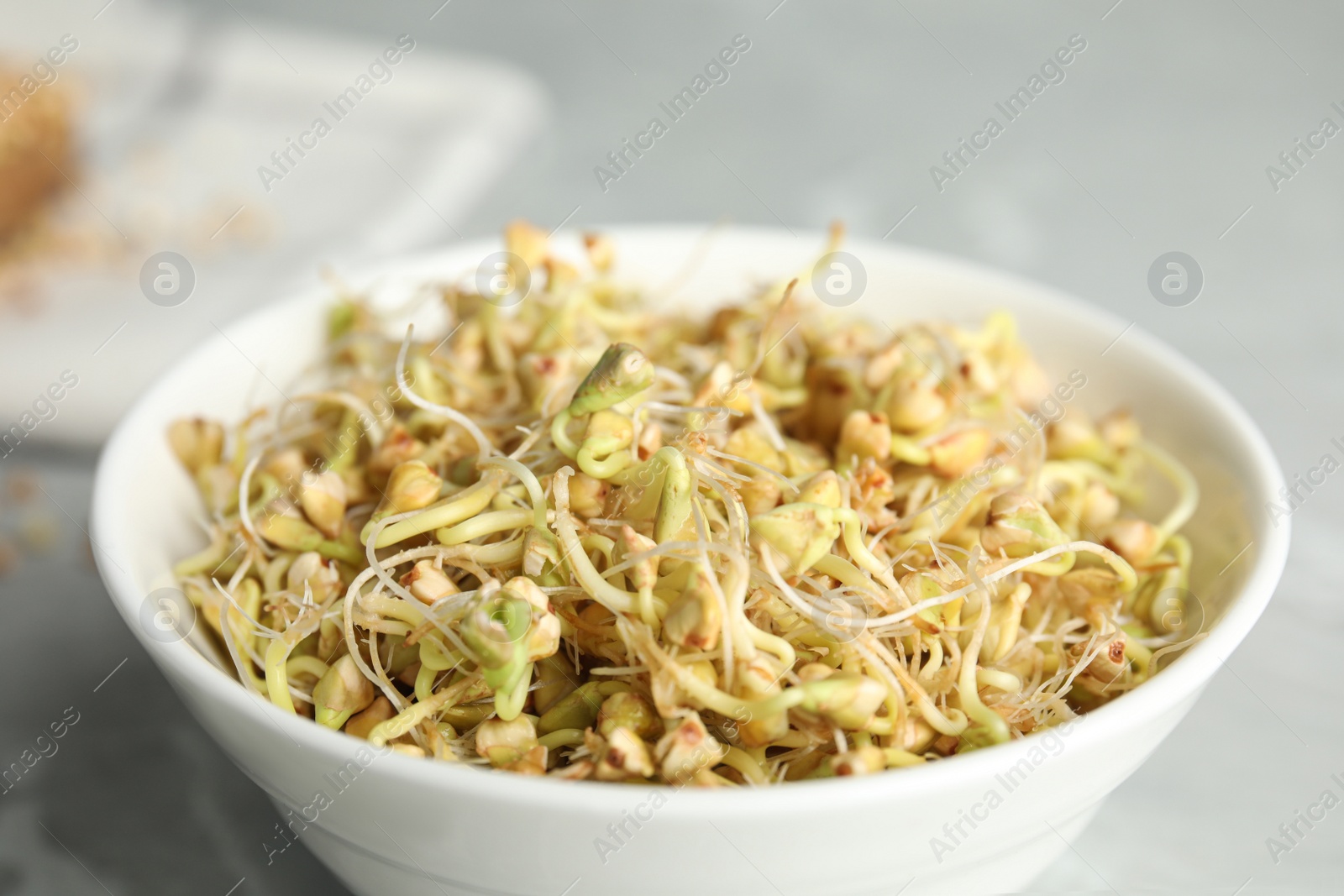 Photo of Bowl with sprouted green buckwheat on light grey table, closeup