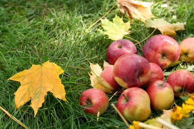 Photo of Delicious ripe red apples and maple leaves on green grass outdoors, space for text. Autumn harvest