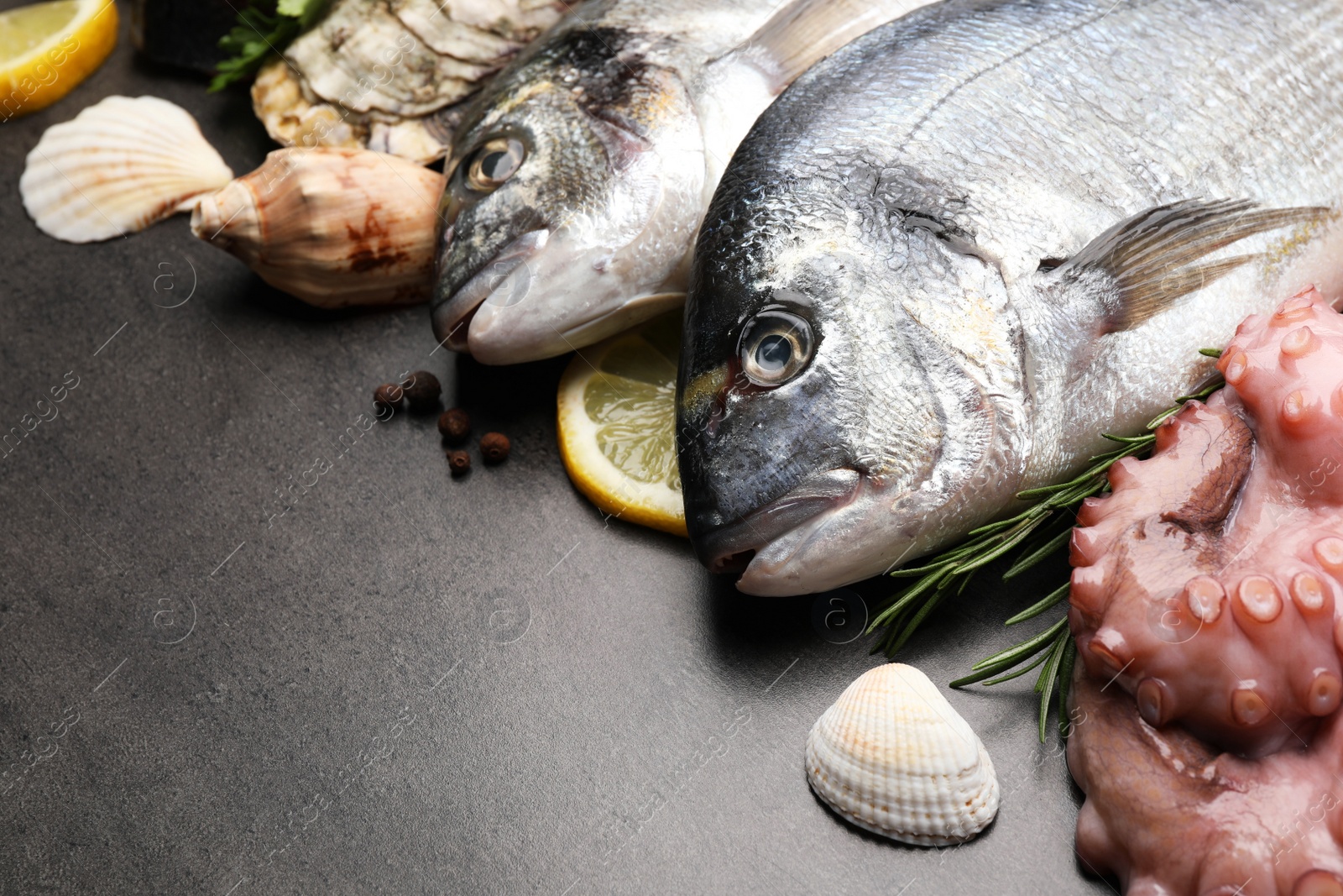 Photo of Fresh raw dorado fish and different seafood on grey table, closeup. Space for text