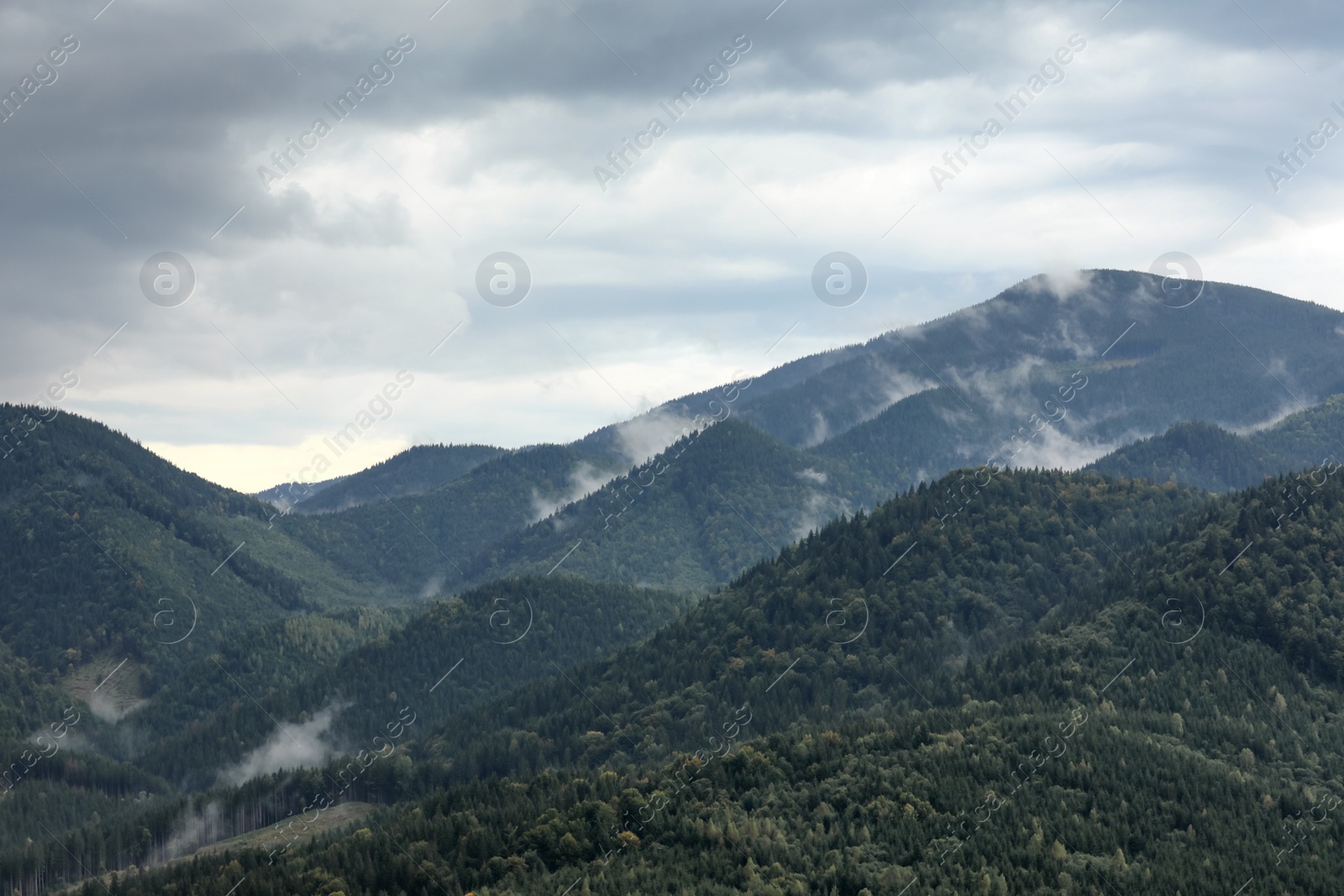 Photo of Amazing view of beautiful mountain landscape covered with fog