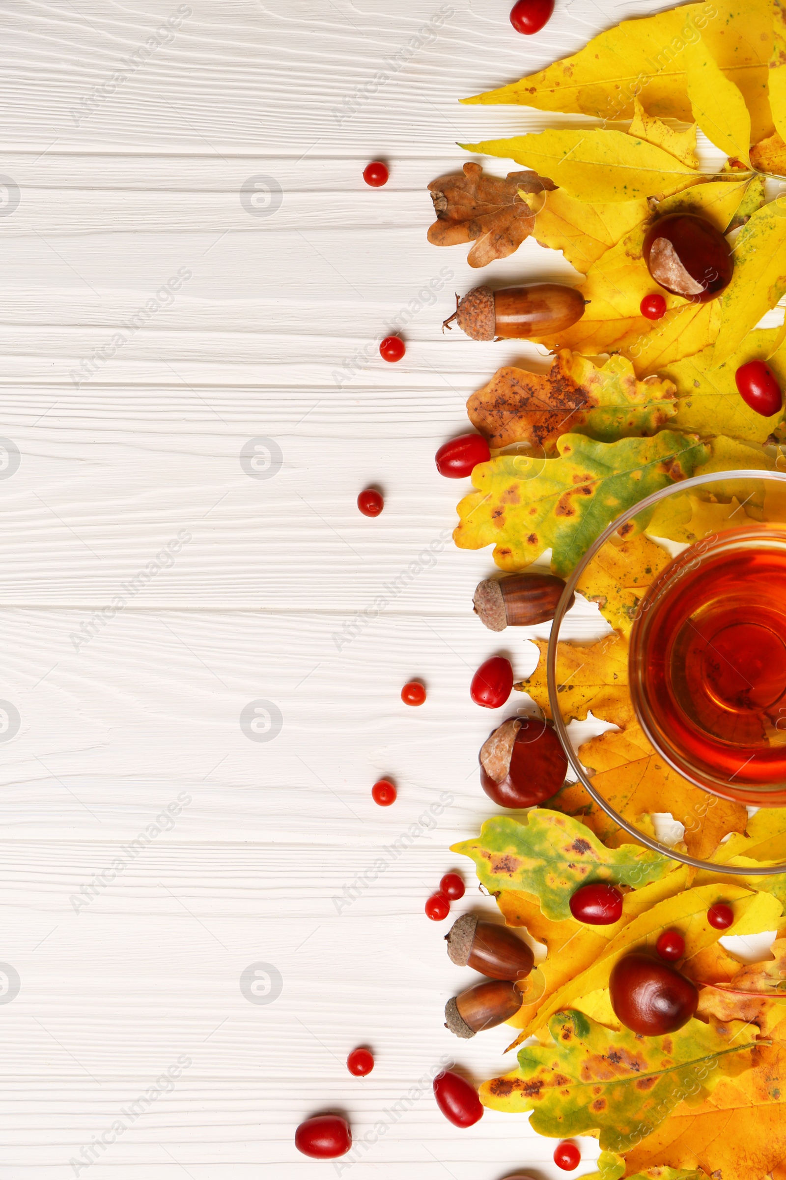 Photo of Different autumn leaves, acorns, chestnuts, red berries and cup of tasty tea on white wooden table, flat lay. Space for text