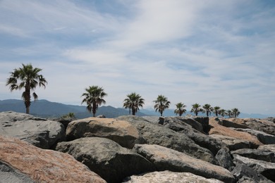 Beautiful view of rocky landscape with palm trees on sunny day