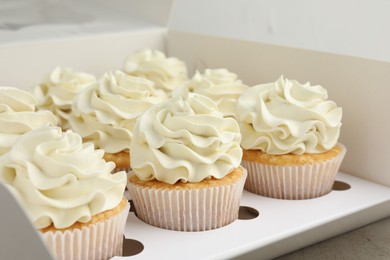 Tasty cupcakes with vanilla cream in box, closeup