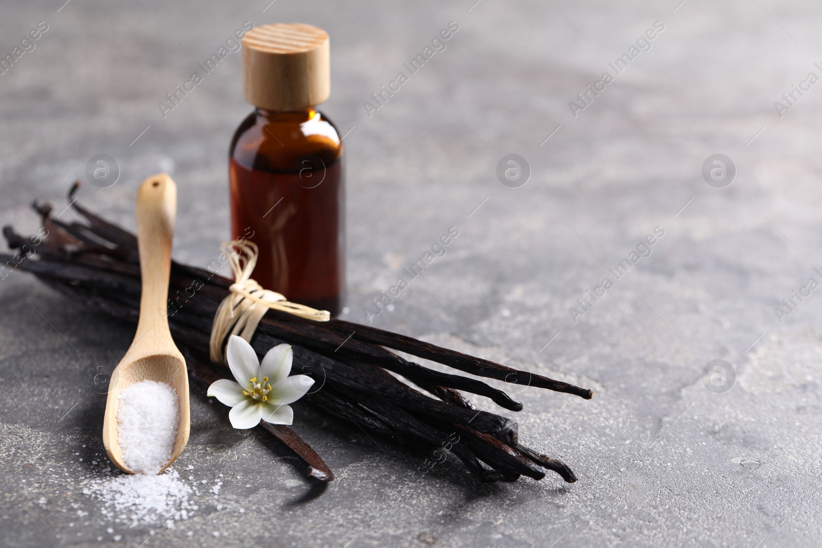 Photo of Spoon with sugar, flower, vanilla pods and bottle of essential oil on grey textured table, closeup. Space for text