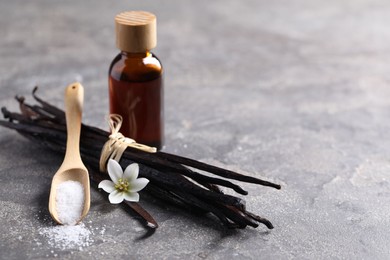 Photo of Spoon with sugar, flower, vanilla pods and bottle of essential oil on grey textured table, closeup. Space for text