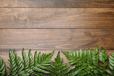 Beautiful tropical fern leaves on wooden background, flat lay. Space for text
