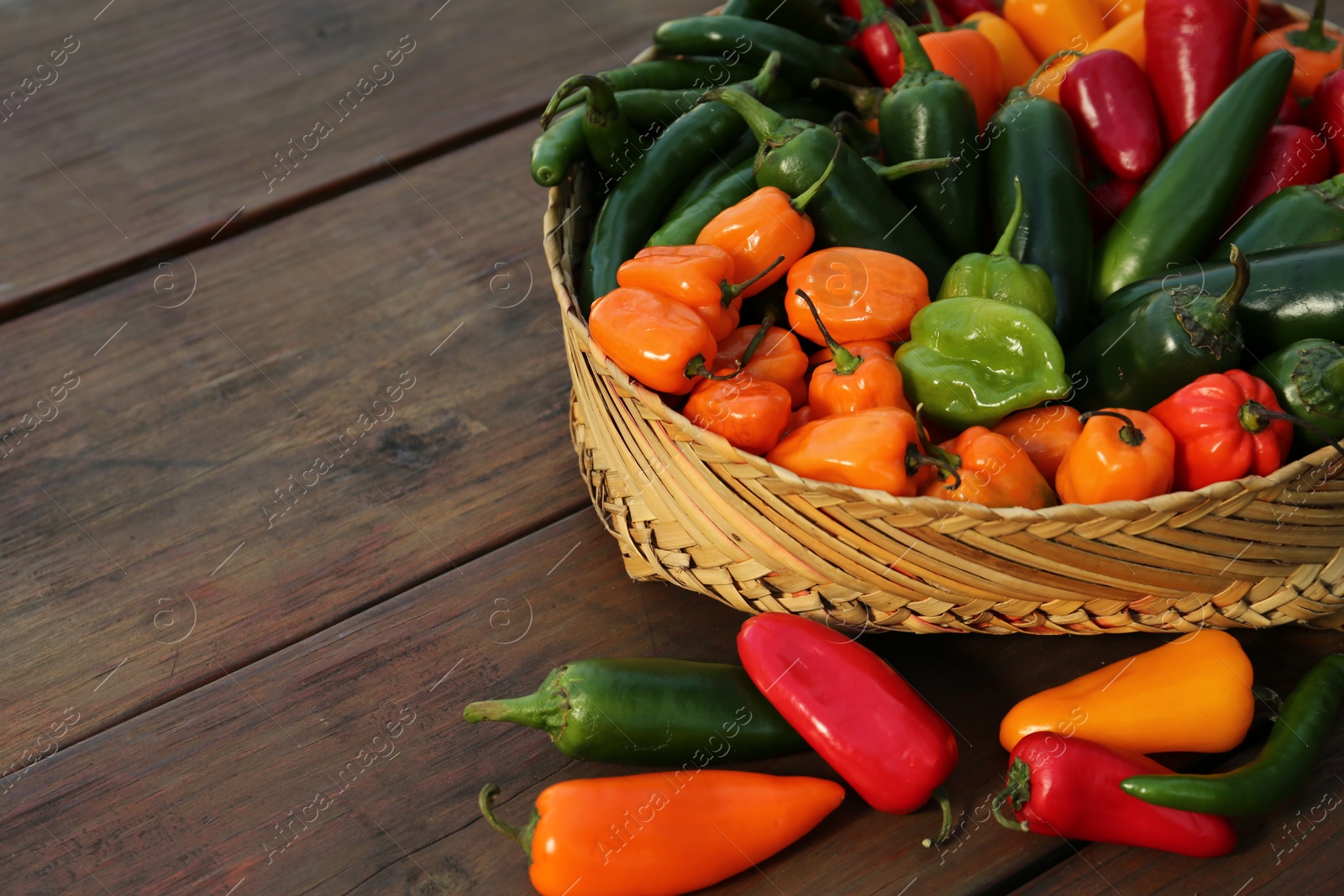 Photo of Many different fresh chilli peppers on wooden table, space for text