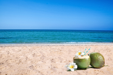 Green coconuts with refreshing drink and beautiful flowers on sandy beach near sea, space for text