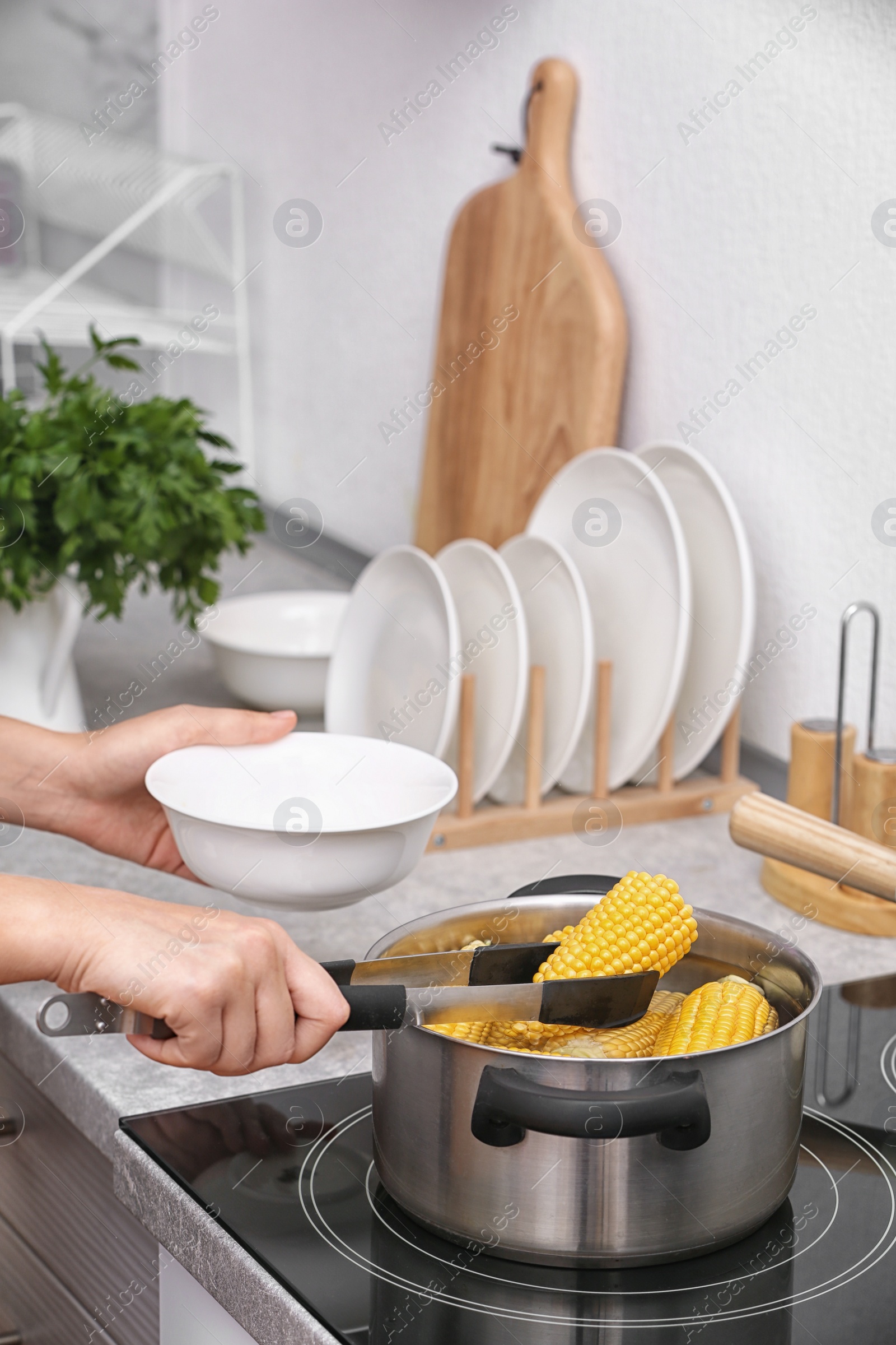 Photo of Woman preparing corn in stewpot on stove, closeup