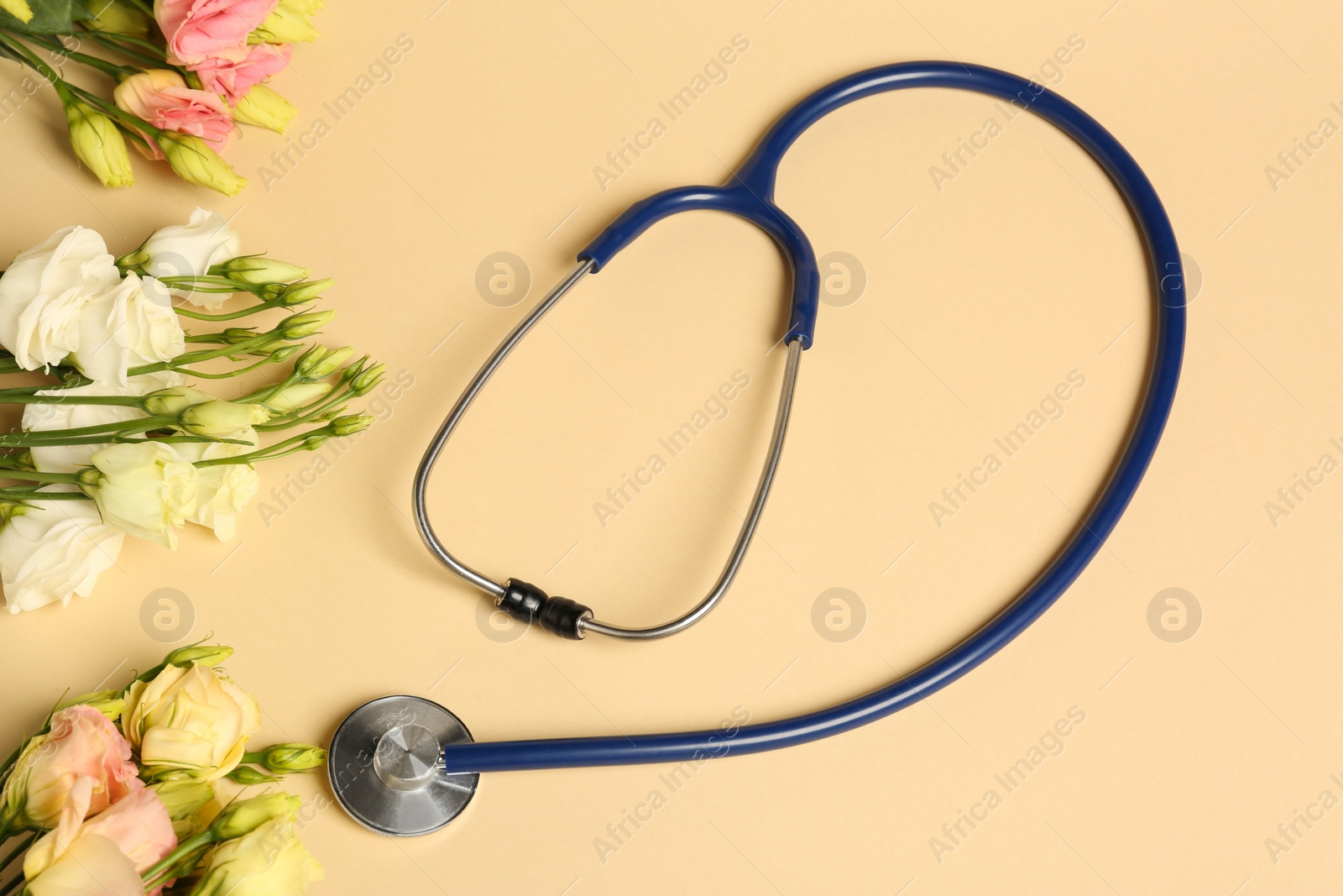 Photo of Stethoscope and eustoma flowers on beige background, flat lay. Happy Doctor's Day