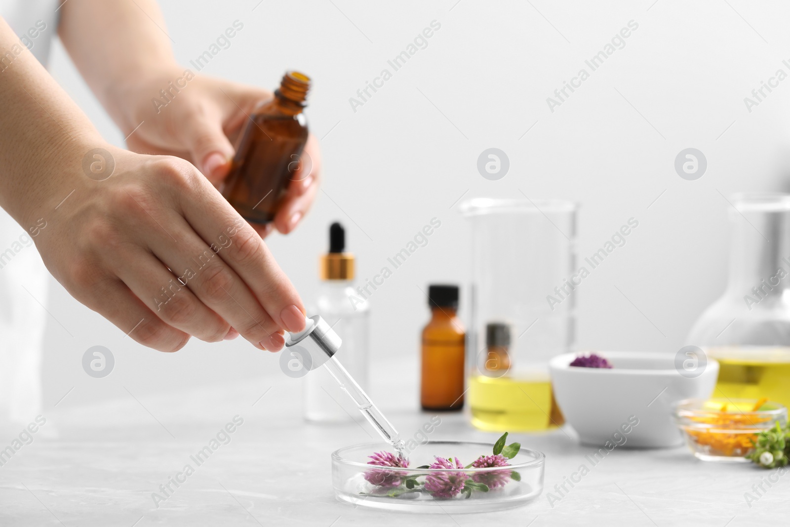 Photo of Scientist developing cosmetic oil at light grey table, closeup