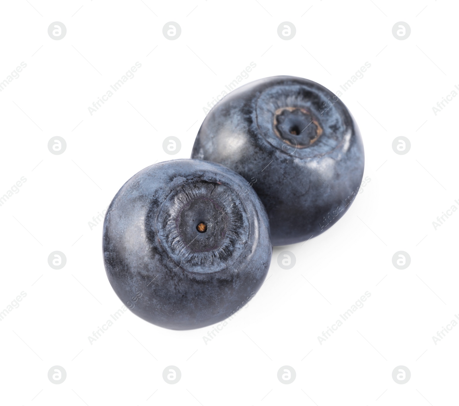 Photo of Delicious ripe bilberries isolated on white. Seasonal berries