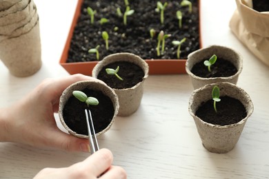 Photo of Woman taking care of seedling at white wooden table, closeup