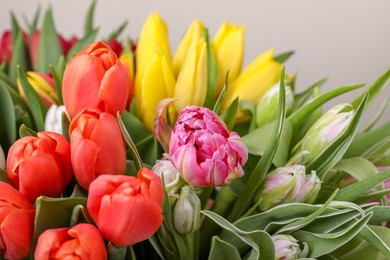 Photo of Beautiful colorful tulip flowers on grey background, closeup