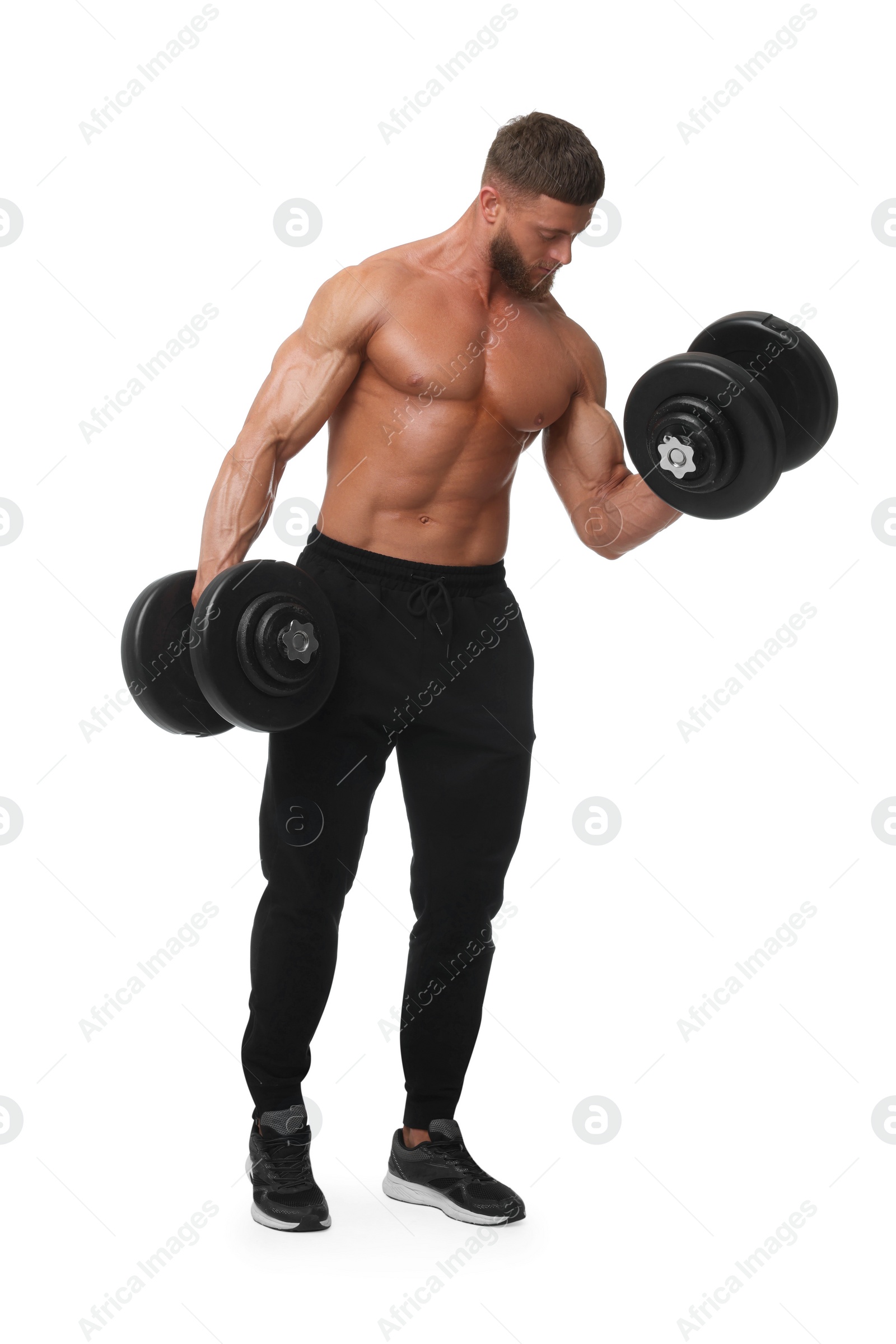 Photo of Young bodybuilder exercising with dumbbells on white background