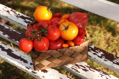 Photo of Basket with fresh tomatoes on old wooden bench outdoors