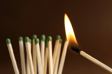 Photo of Burning match near unlit ones on brown background, closeup