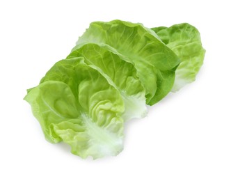 Photo of Fresh green butter lettuce leaves isolated on white