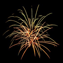 Image of Beautiful bright fireworks lighting up night sky