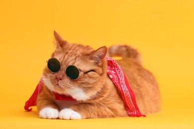 Cute ginger cat in stylish sunglasses and bandana on yellow background