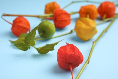 Photo of Physalis branches with colorful sepals on light blue background, closeup