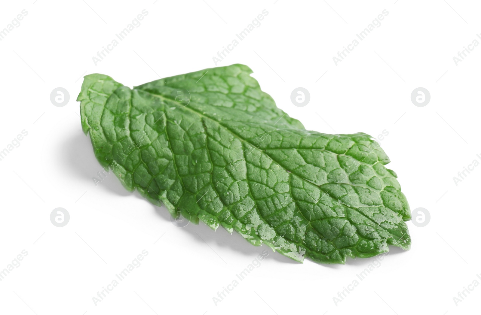 Photo of Fresh green mint leaf on white background