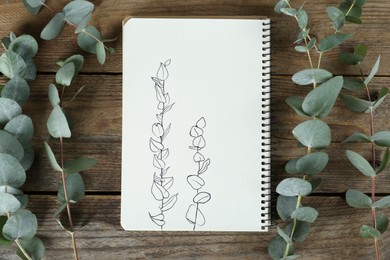 Beautiful drawing and eucalyptus branches in sketchbook on wooden table, flat lay