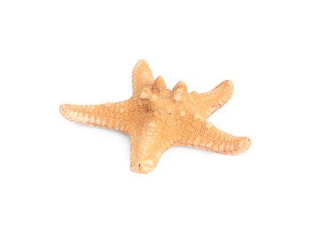 Photo of Beautiful sea star (starfish) isolated on white