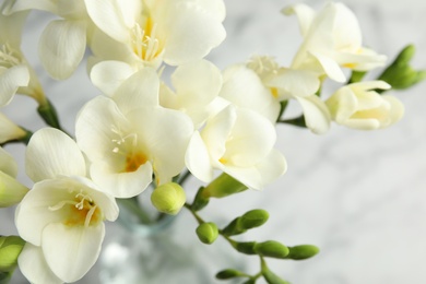 Photo of Beautiful bouquet of spring freesia flowers on color background, closeup