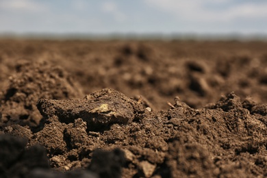View of fertile ground surface on sunny day, closeup