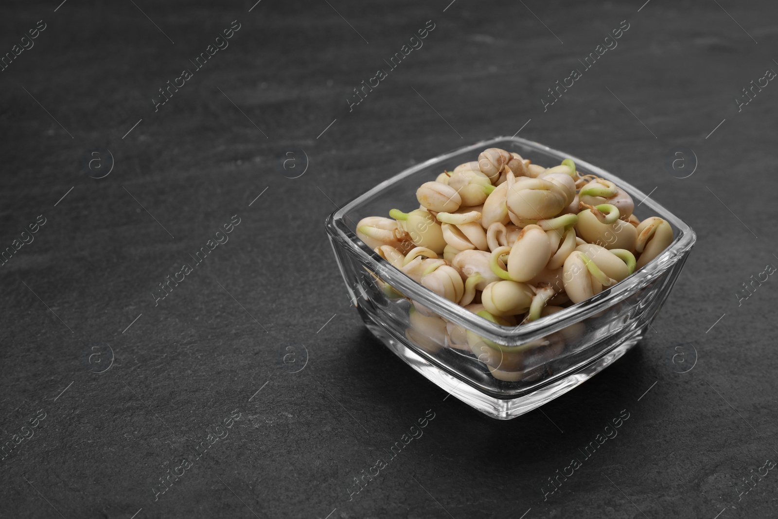 Photo of Sprouted kidney beans in bowl on black table, closeup. Space for text