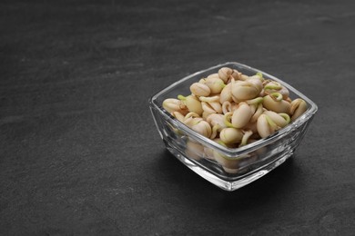 Photo of Sprouted kidney beans in bowl on black table, closeup. Space for text