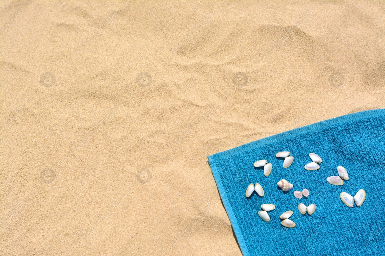 Photo of Towel and seashells on sand, top view with space for text. Beach accessory