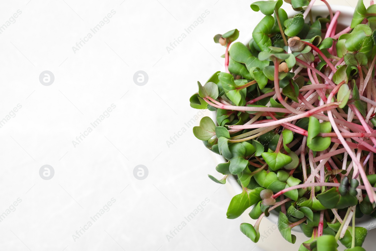 Photo of Fresh organic microgreen on white table, top view. Space for text