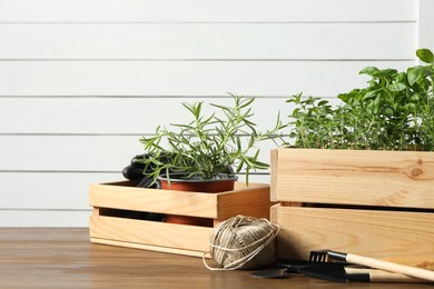 Photo of Crates with different potted herbs and gardening tools on wooden table. Space for text