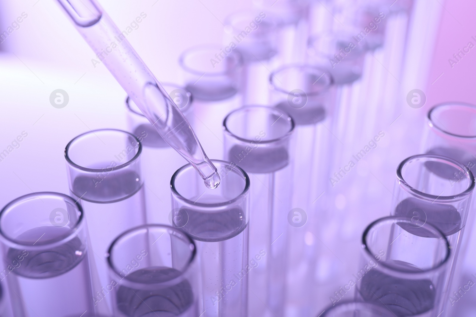 Photo of Dripping liquid from pipette into test tube on violet background, closeup