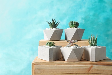 Beautiful succulent plants in stylish flowerpots on wooden crates against blue background, space for text. Home decor