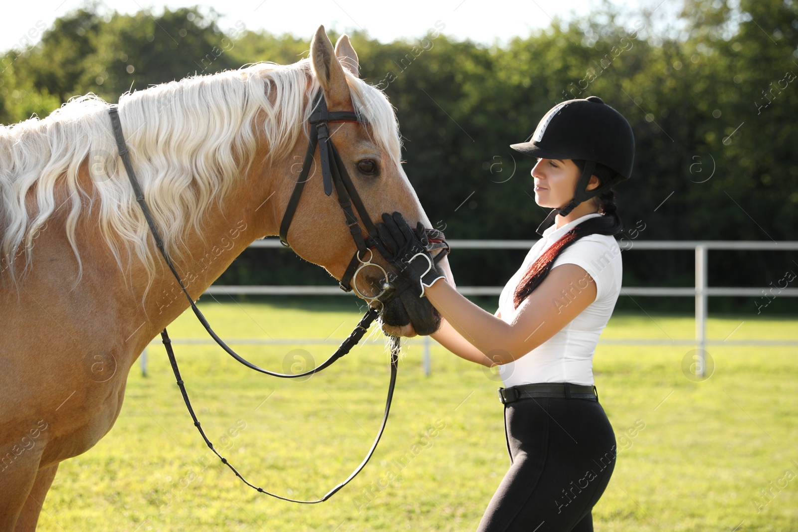 Photo of Young woman in horse riding suit and her beautiful pet outdoors on sunny day