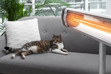 Photo of Cute cat on sofa near modern electric infrared heater indoors