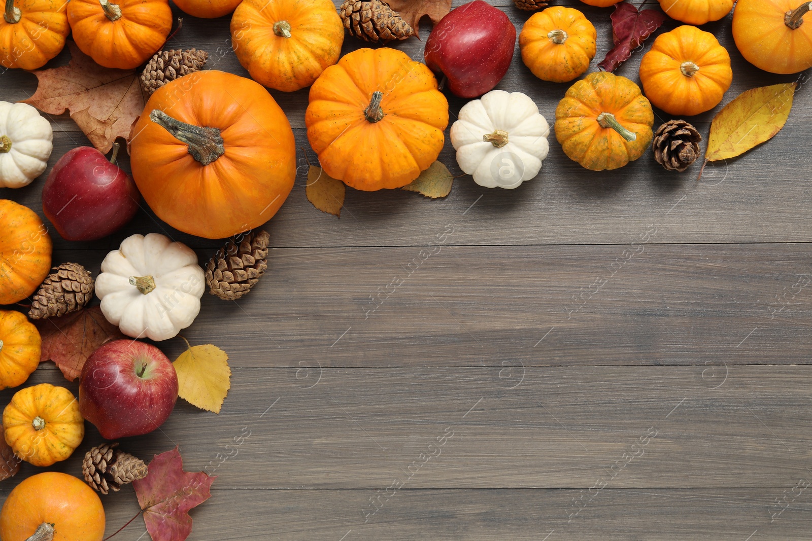 Photo of Thanksgiving day. Flat lay composition with pumpkins on wooden table, space for text