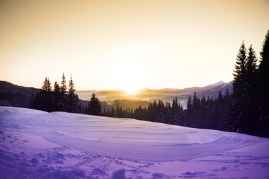 Image of Picturesque view of snowy hill and conifer forest in winter 