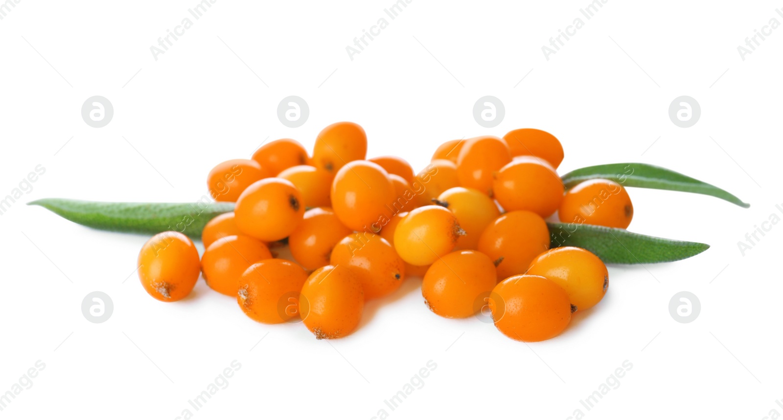 Photo of Pile of fresh ripe sea buckthorn berries on white background