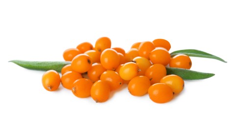 Photo of Pile of fresh ripe sea buckthorn berries on white background