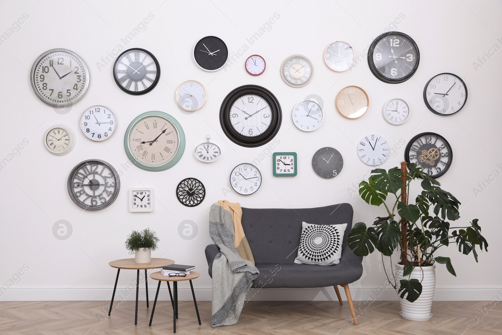 Photo of Comfortable furniture, beautiful houseplant and collection of different clocks on white wall in room