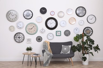Comfortable furniture, beautiful houseplant and collection of different clocks on white wall in room