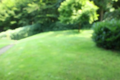 Blurred view of beautiful green trees and shrubs in garden on sunny day