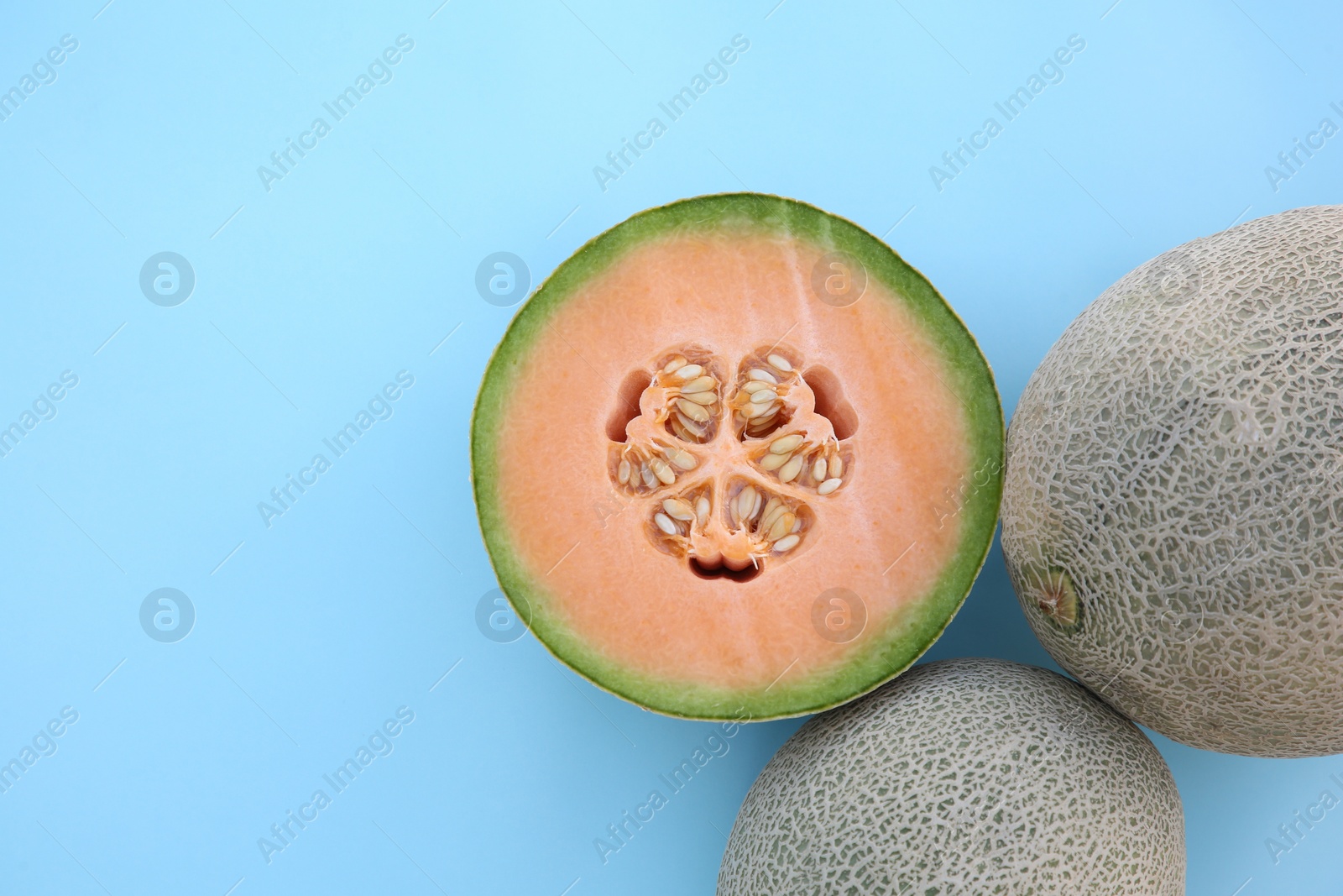 Photo of Whole and cut fresh ripe cantaloupe melons on light blue background, flat lay. Space for text
