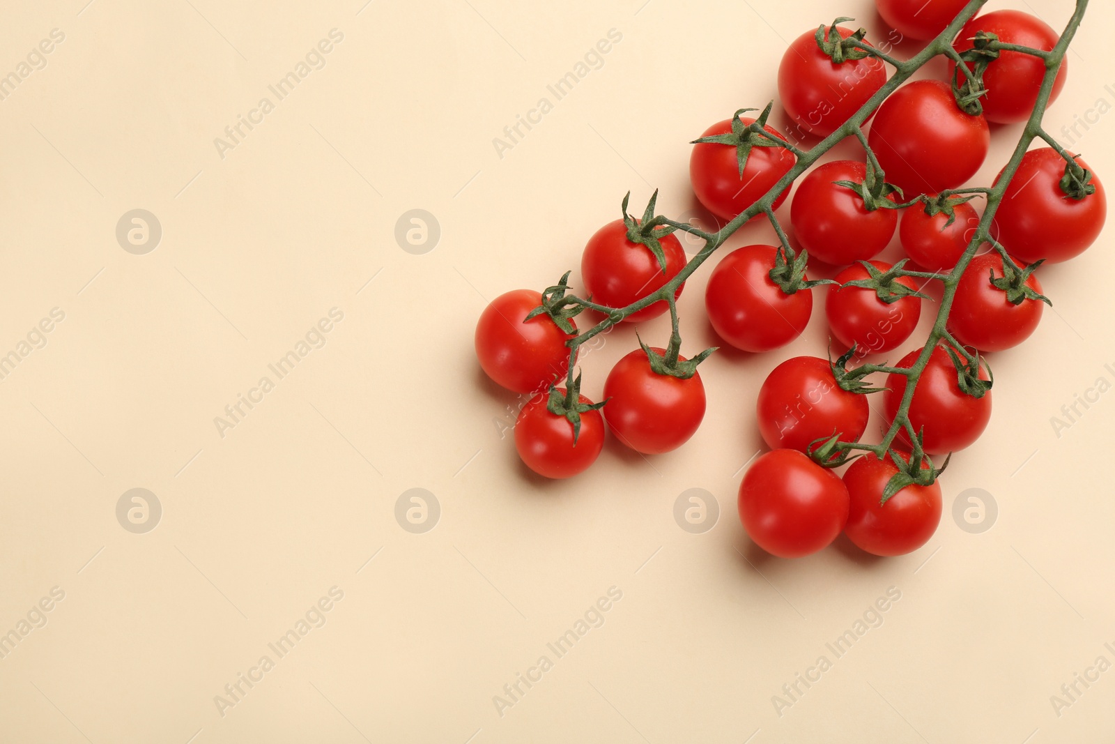 Photo of Branches with fresh cherry tomatoes on beige background, flat lay. Space for text