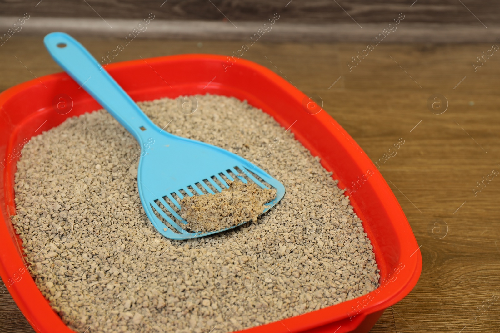 Photo of Cat tray with clumping litter and scoop on floor, closeup